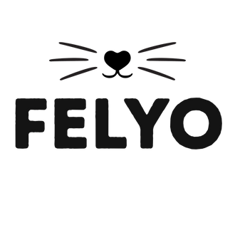 Felyo